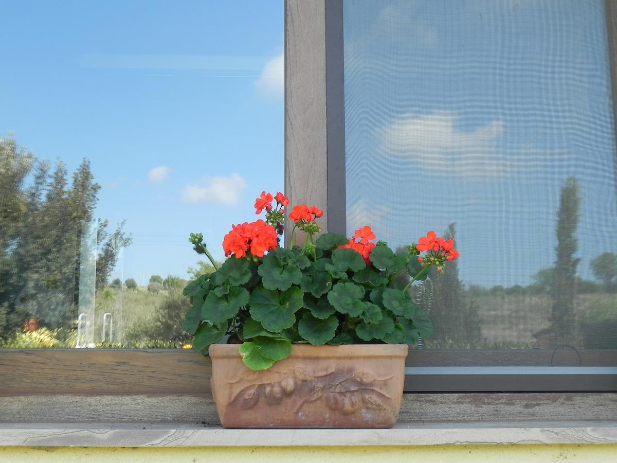 Bagno Roselle B&B Monte Di Bu المظهر الخارجي الصورة