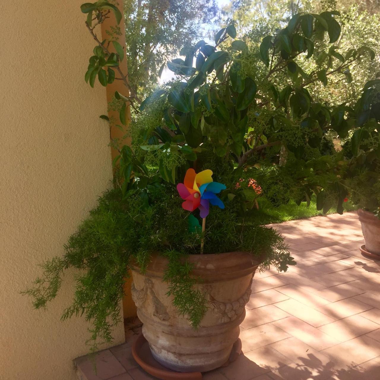 Bagno Roselle B&B Monte Di Bu المظهر الخارجي الصورة